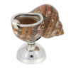 Salzfass Schnecke