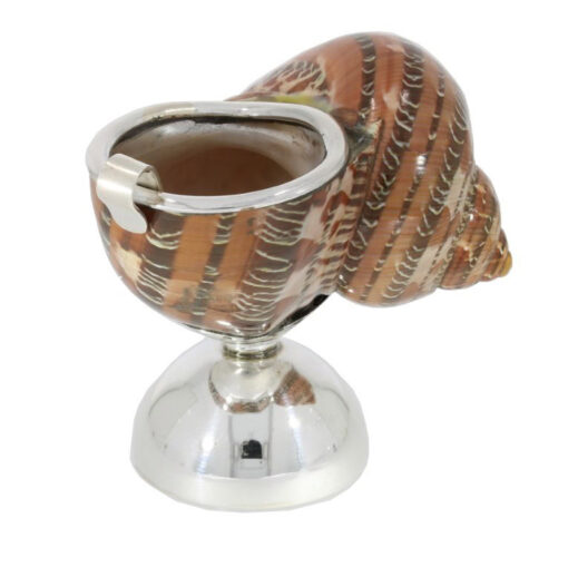 Salzfass Schnecke